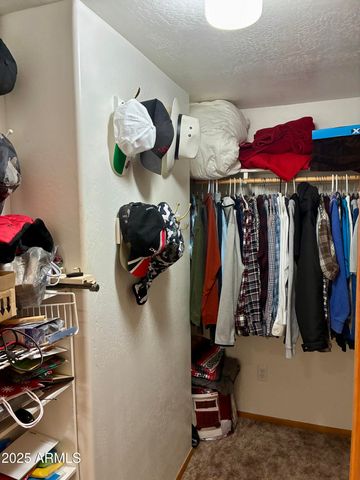 2761 APOLLO Circle, Overgaard, AZ 85933