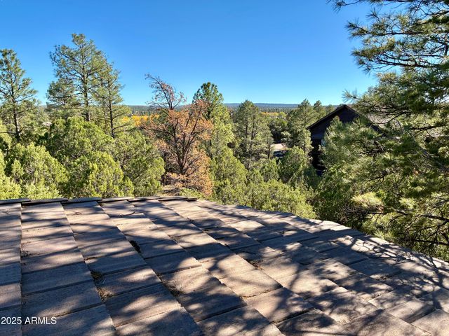 2761 APOLLO Circle, Overgaard, AZ 85933