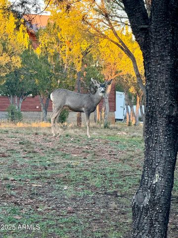 2761 APOLLO Circle, Overgaard, AZ 85933