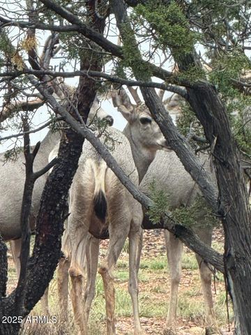 2761 APOLLO Circle, Overgaard, AZ 85933