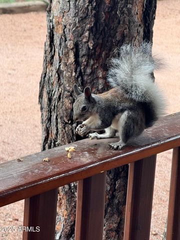 2761 APOLLO Circle, Overgaard, AZ 85933