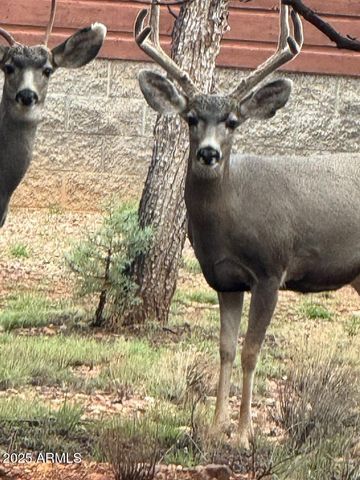 2761 APOLLO Circle, Overgaard, AZ 85933