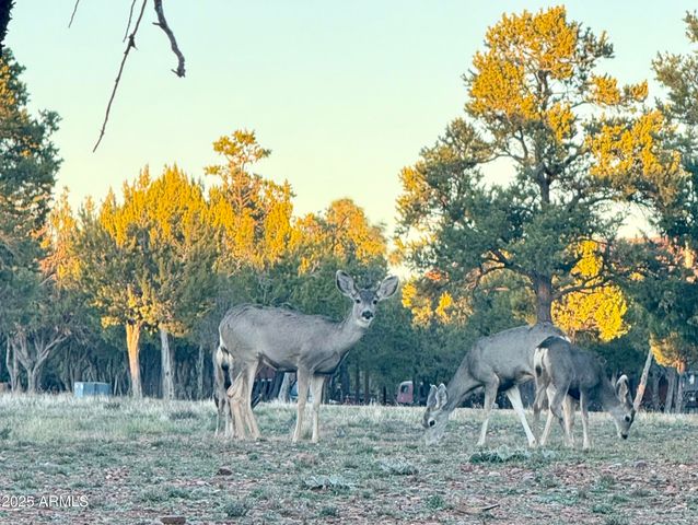 2761 APOLLO Circle, Overgaard, AZ 85933