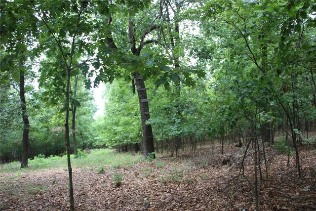 Tract 7 MC 5039, Valley Springs, AR 72682