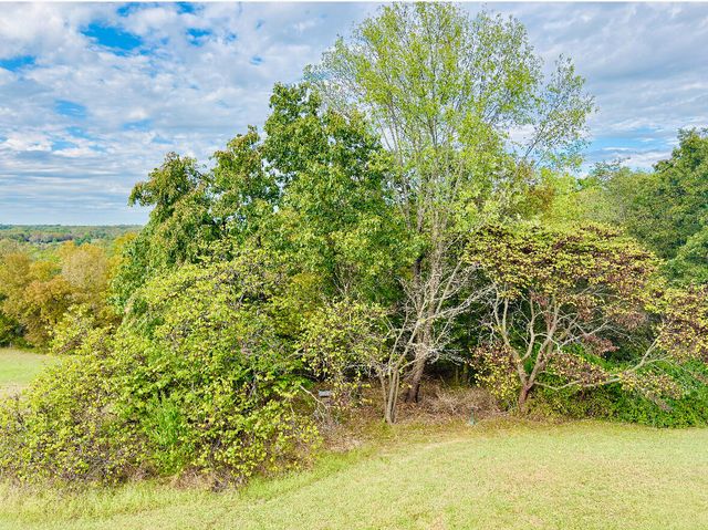 20685 E Hwy M, Stockton, MO 65785