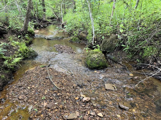 20685 E Hwy M, Stockton, MO 65785