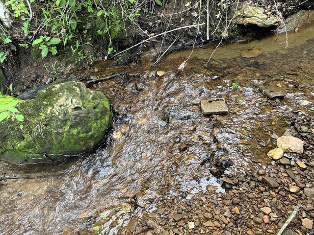 20685 E Hwy M, Stockton, MO 65785