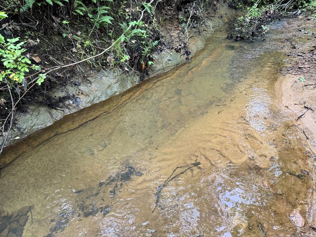 20685 E Hwy M, Stockton, MO 65785