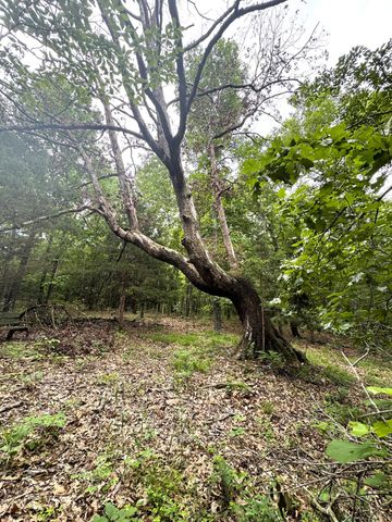 20685 E Hwy M, Stockton, MO 65785