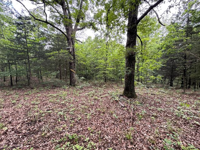 20685 E Hwy M, Stockton, MO 65785