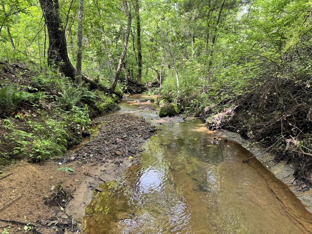 20685 E Hwy M, Stockton, MO 65785