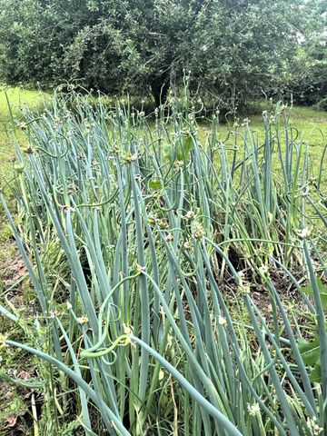 20685 E Hwy M, Stockton, MO 65785