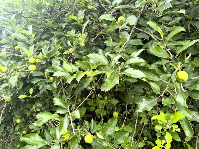 20685 E Hwy M, Stockton, MO 65785