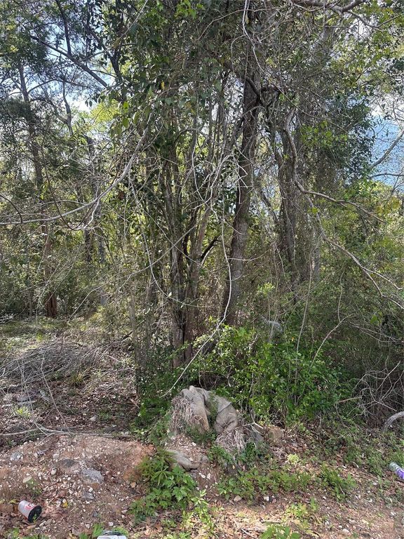 0 S 7th Street, Conroe, TX 77301