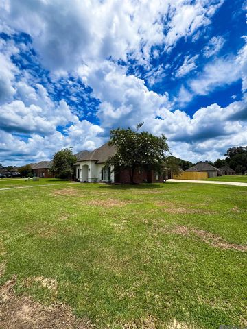 10058 Chanel Dr, Denham Springs, LA 70706