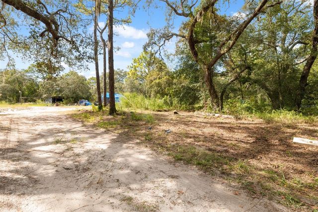 17221 NICKS DRIVE, Spring Hill, FL 34610