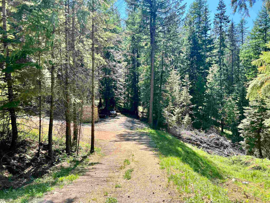 42198 F SHORE ACRES RD, LOON LAKE, WA 99148, LOON LAKE, WA Clearwater