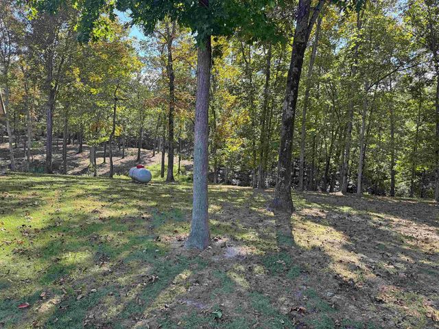 508 Harding Blvd, Mountain View, AR 72560