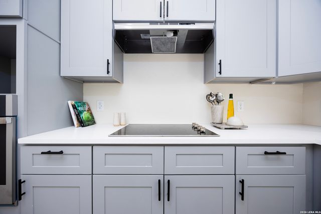 326 Cactus St, San Antonio, TX 78203