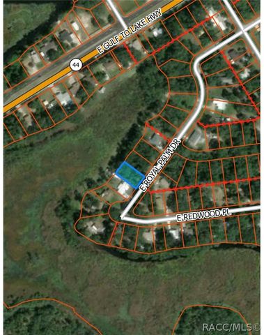 9109 E Royal Palm Drive, Inverness, FL 34450