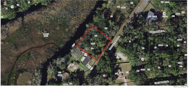 9109 E Royal Palm Drive, Inverness, FL 34450
