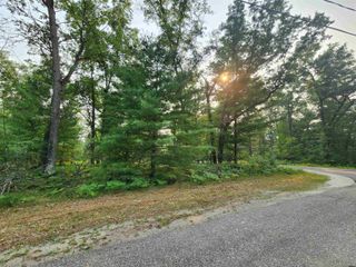 Lot 98 Wilderness Drive, Alger, MI 48610