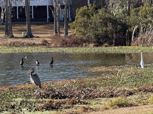 110 Bristol Lane, Goose Creek, SC 29445