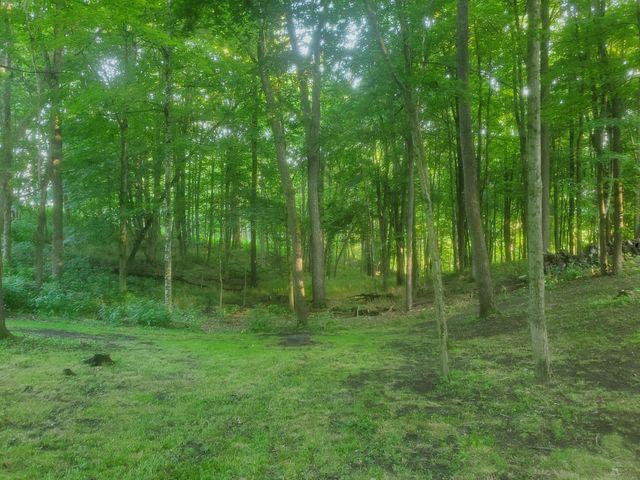 24975 Coshocton Road, Howard, OH 43028