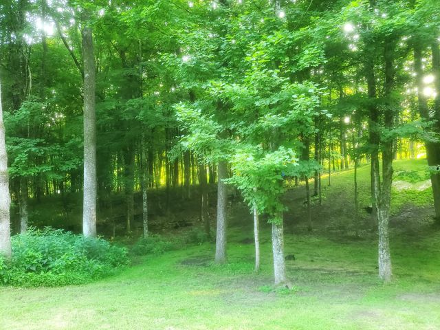 24975 Coshocton Road, Howard, OH 43028