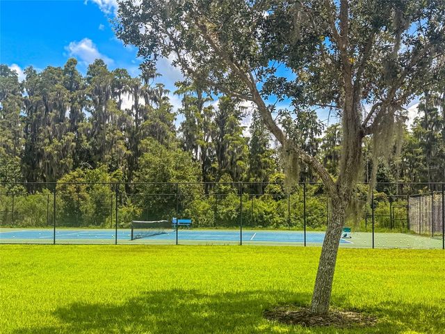 10302 STONE MOSS AVENUE, Tampa, FL 33647