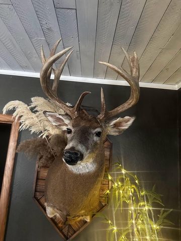 16597 County Hwy H, Richland Center, WI 53581