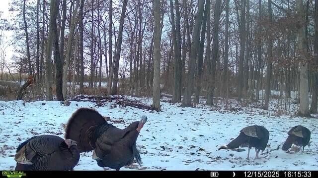 772 W 900 S, Hebron, IN 46341