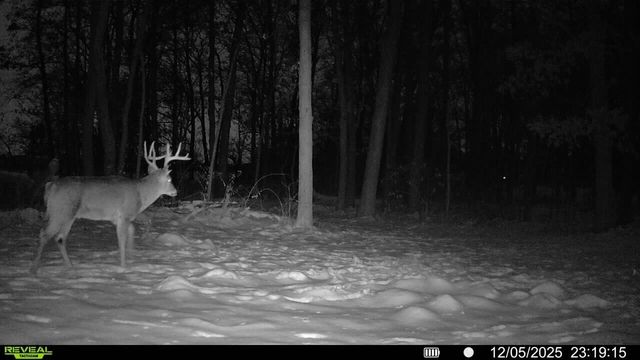 772 W 900 S, Hebron, IN 46341