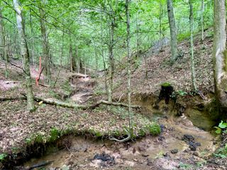 00 Coal Branch Road, Beattyville, KY 41311