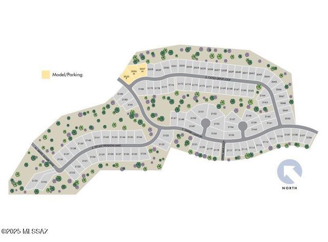 1535 E Cattle Graze Loop, Sahuarita, AZ 85629