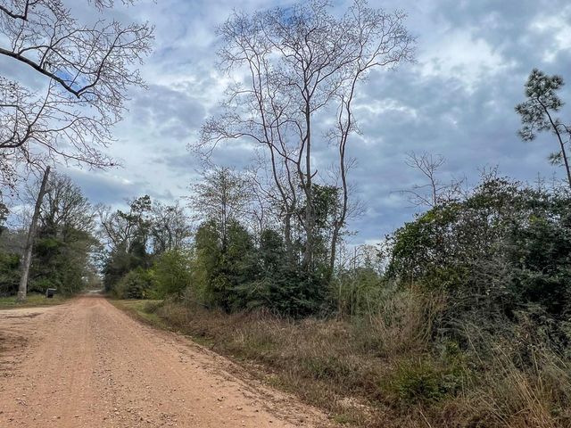 T-1 Cr 4590, Spurger, TX 77660