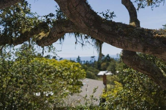 24390 San Marcos Road, Carmel, CA 93923