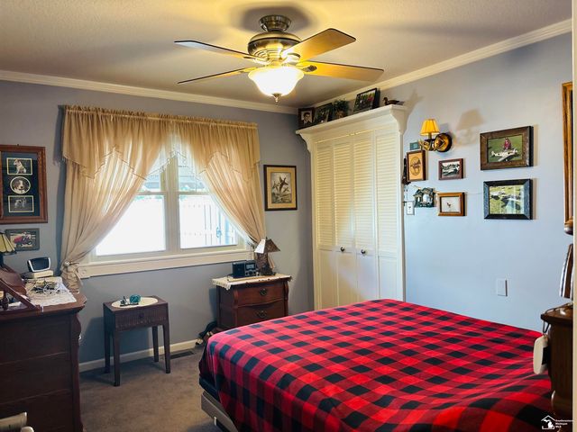 17029 Pintail Drive, Brownstown Twp, MI 48173