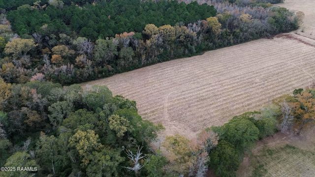 Tbd Muscadine Road, Sunset, LA 70584