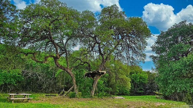 474 Lost Ln., Tarpley, TX 78883