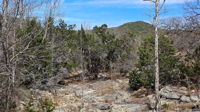474 Lost Ln., Tarpley, TX 78883
