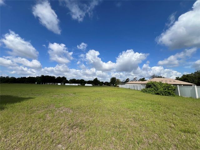 13419 COCOPAH LANE, Dover, FL 33527