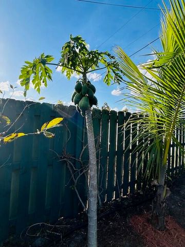 221 SW Kestor Drive, Port St. Lucie, Port St Lucie, FL 34953