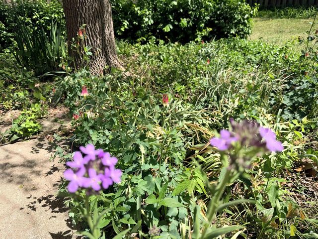 3317 Claflin Road, Manhattan, KS 66503