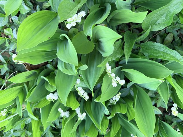 3317 Claflin Road, Manhattan, KS 66503