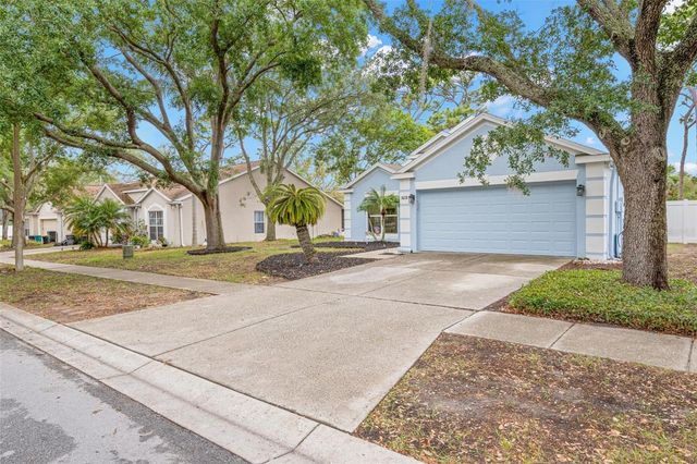 1620 NAVIGATOR LANE, Tarpon Springs, FL 34689