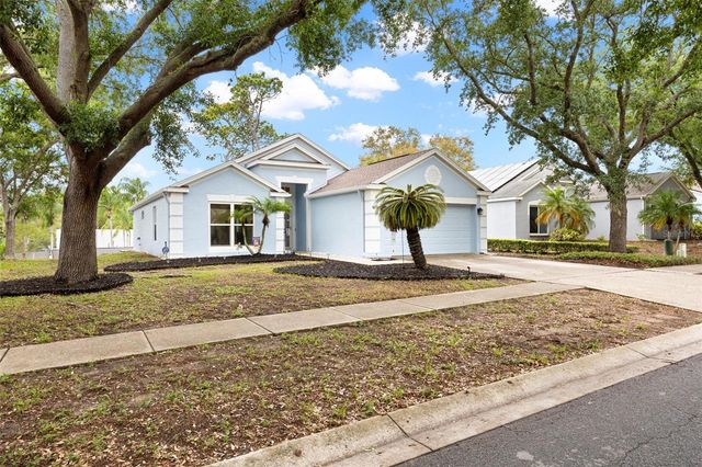 1620 NAVIGATOR LANE, Tarpon Springs, FL 34689