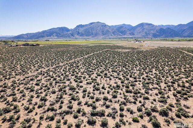 16 Hawk View Drive, Wellington, NV 89444