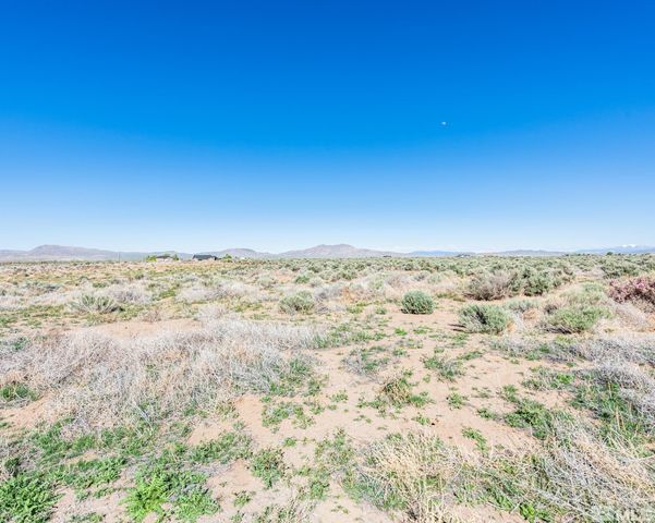 16 Hawk View Drive, Wellington, NV 89444