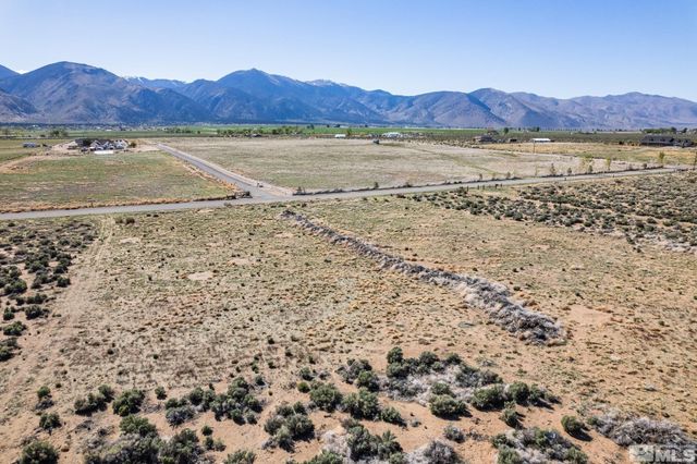 16 Hawk View Drive, Wellington, NV 89444